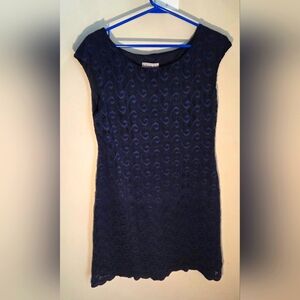 ⭐️Laura Petites Navy Lace Dress Size 10